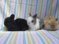 /album/fotogalerie/cimg1968-jpg/