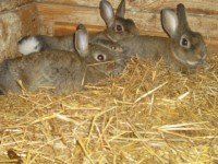 /album/fotogalerie/cimg1972-jpg/