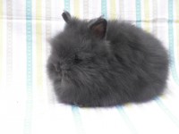 /album/fotogalerie/cimg2062-jpg1/